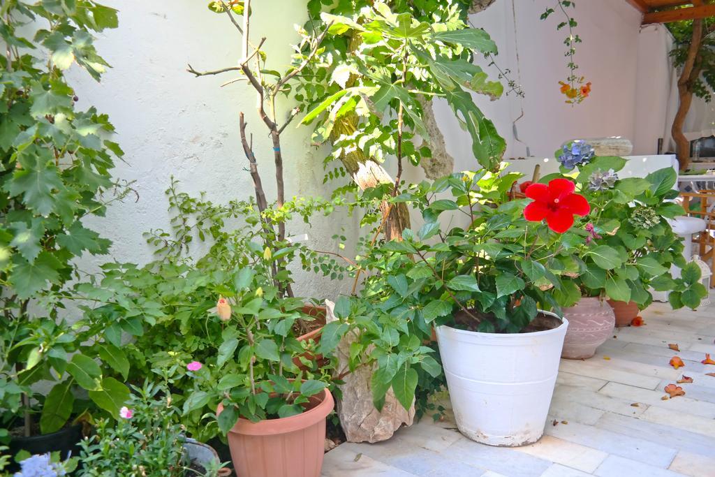 Hotel Sanoudos Naxos City Zewnętrze zdjęcie